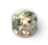 small premium jade green mixed seashell pack